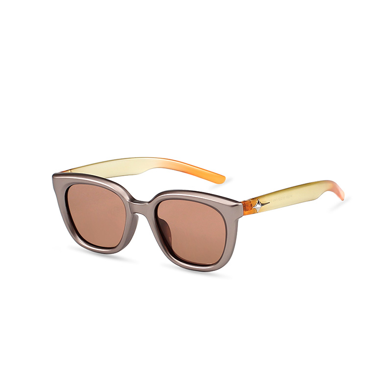 P1321 Personality One-piece Hinged Sunglasses